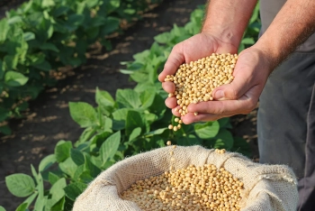 Aprel ayında fermerler Soya haqqında nəyi bilməlidir