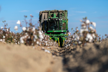 Pambıqçılıq-2025: Sahələrdən 345 101 ton məhsul yığılıb, orta məhsuldarlıq 34,35 sentnerə çatıb