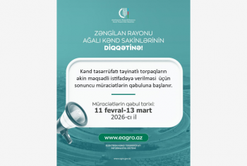 Zəngilan rayonunun Ağalı kəndində torpaqların əkin məqsədli istifadəyə verilməsi üçün sonuncu müraciətlərin qəbuluna başlanır