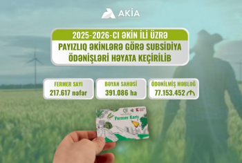 Payızlıq əkinlərə görə subsidiya ödənişlərinə başlanılıb