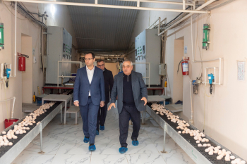 Nazir Məcnun Məmmədov Xızı və Abşeronda yerləşən quşçuluq müəssisələrinin fəaliyyəti ilə tanış olub