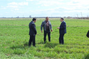 Kənd təsərrüfatı nazirinin müavini Seymur Səfərli Goranboyda vətəndaşları qəbul edib, fermerlərlə görüşüb